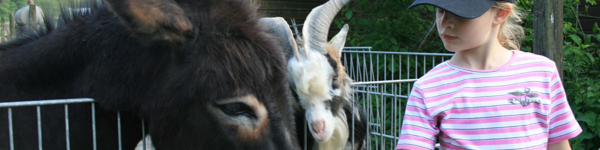 Schulklassen und Kindergärten auf dem Bauernhof