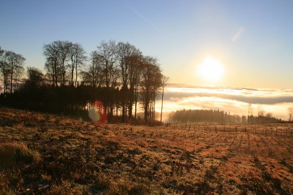 sonnenaufgang.jpg