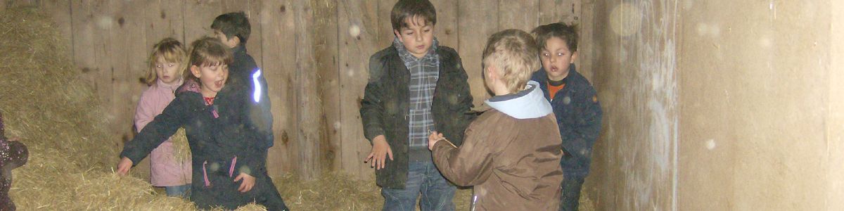 Kindergeburtstag auf dem Bauernhof